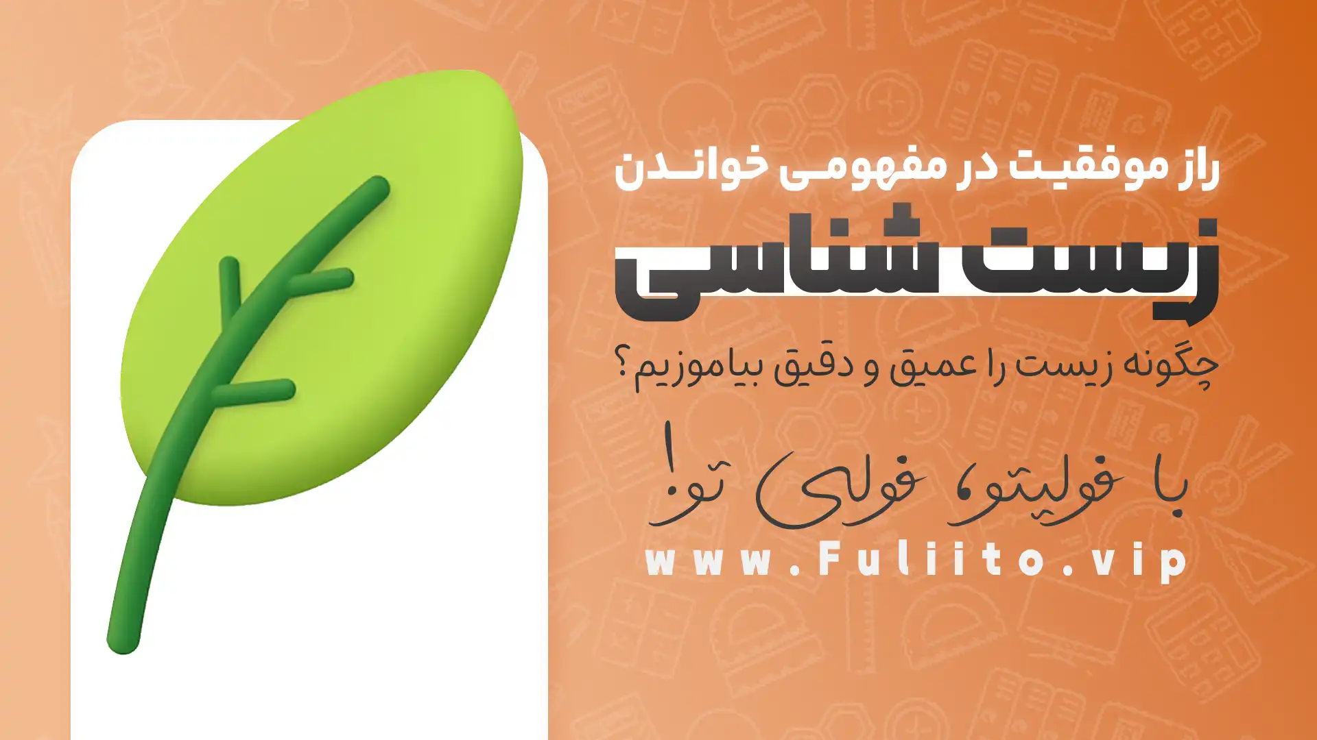 راز موفقیت در مفهومی خواندن زیست - چگونه زیست شناسی را عمیق و دقیق بیاموزیم؟