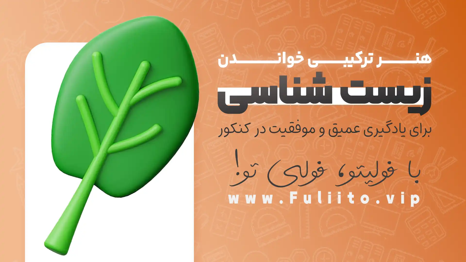 هنر ترکیبی خواندن زیست برای یادگیری عمیق و موفقیت در کنکور